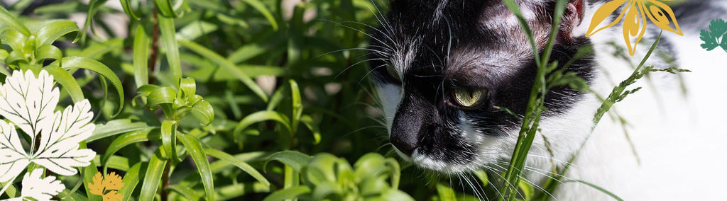 Customer Spotlight: February 2025