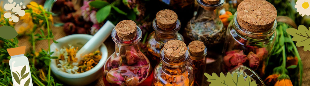 Customer Spotlight: April 2025