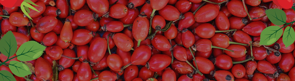 Certified Organic Rosehip Shells: A Nutrient-Packed Superfood