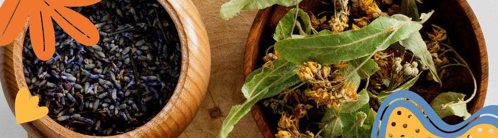 Customer Spotlight: June 2025