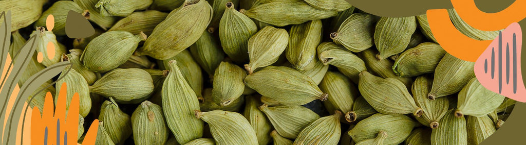 Exploring the Uses and Benefits of Certified Organic Cardamom Pods