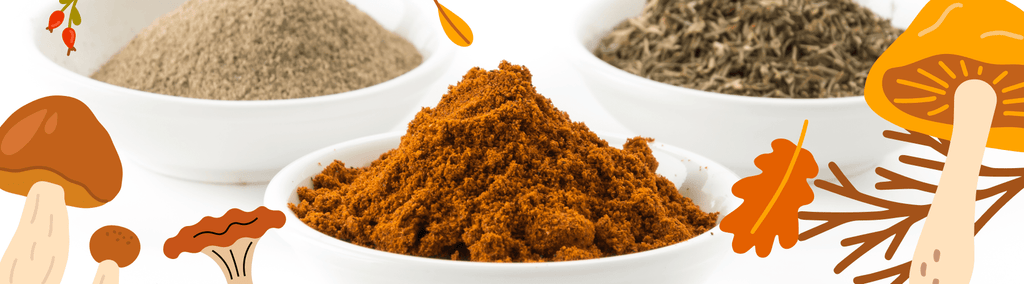 A Guide to Organic Mushroom Powders – What Makes Each One Unique