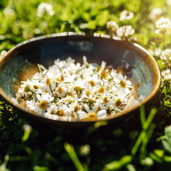 Uncut - Austral Herbs