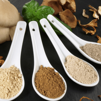 Dried Fungi - Austral Herbs