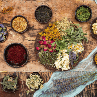 Lemon Myrtle Tea: Benefits, Taste & How to Brew - Austral Herbs