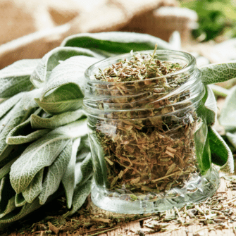 Woody Aroma - Austral Herbs