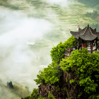 Origin: China - Austral Herbs