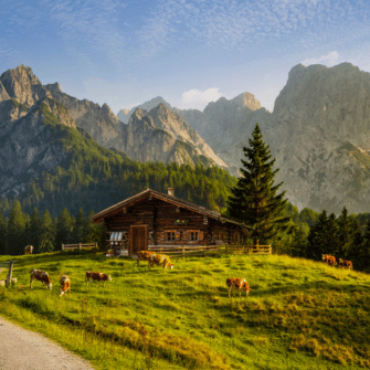 Origin: Germany - Austral Herbs