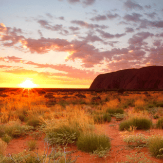 Origin: Australia - Austral Herbs
