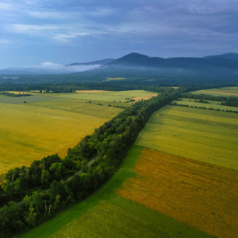 Origin: Poland - Austral Herbs