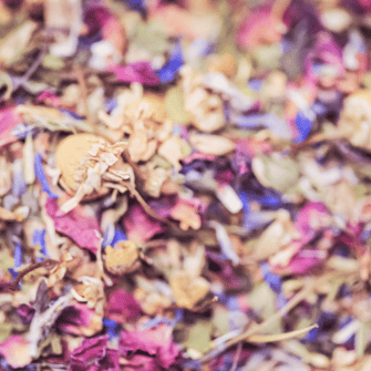 Dried Flowers - Austral Herbs