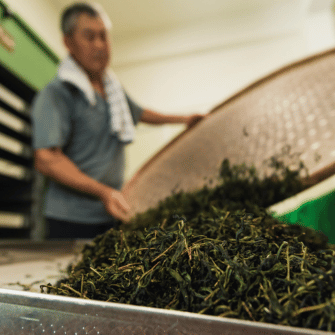 Lemon Myrtle Tea: Benefits, Taste & How to Brew - Austral Herbs