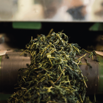 Lemon Myrtle Tea: Benefits, Taste & How to Brew - Austral Herbs