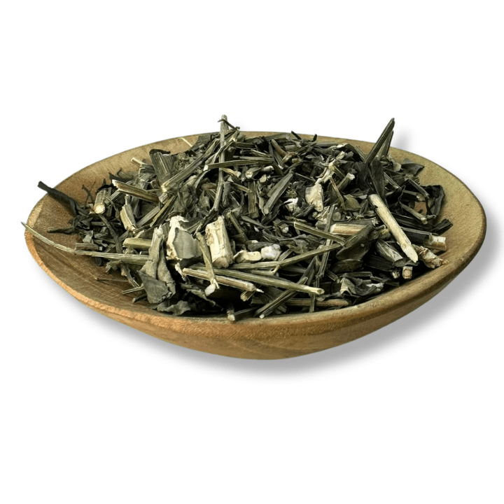 Andrographis Tea Buy High Quality Andrographis Online | Austral Herbs