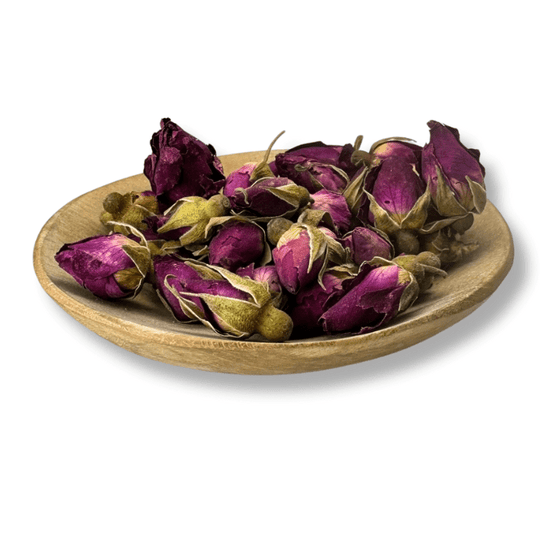 Standard Red Rose Buds