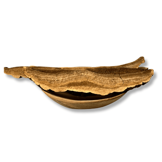 Reishi Mushroom Slices Organic